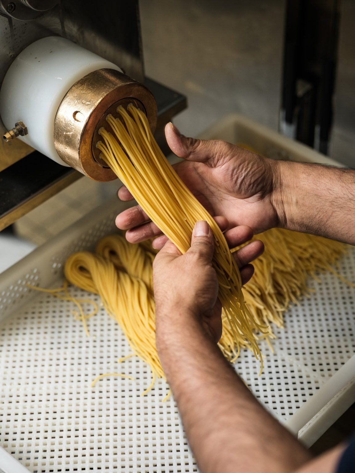 Pâtes fraîches sortant de la machine